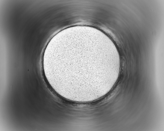 X0000095691375200802051304