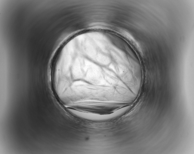 X0000095691376200802051304