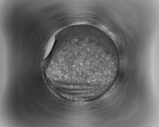 X0000095691377200802051304