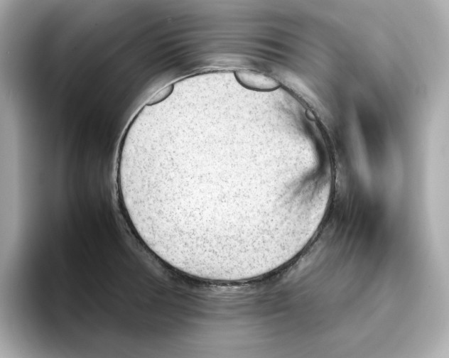 X0000095691378200802051304