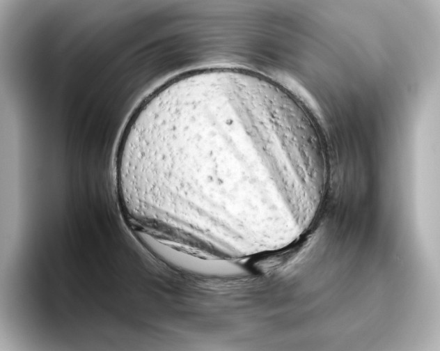 X0000095691380200802051303