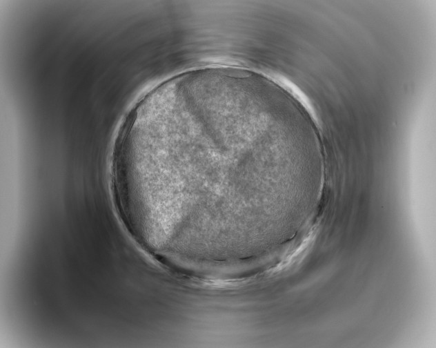 X0000095691381200802051303