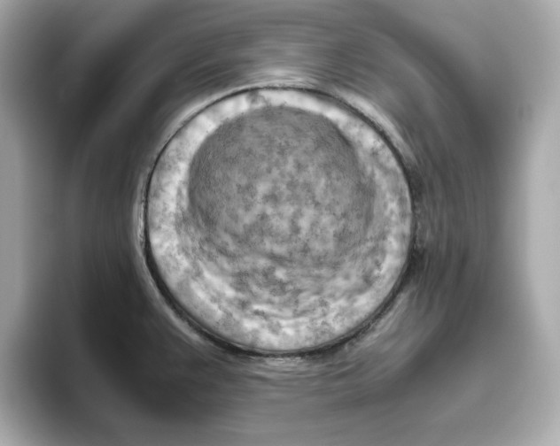 X0000095691383200802051303