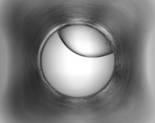 X0000095691384200802051303