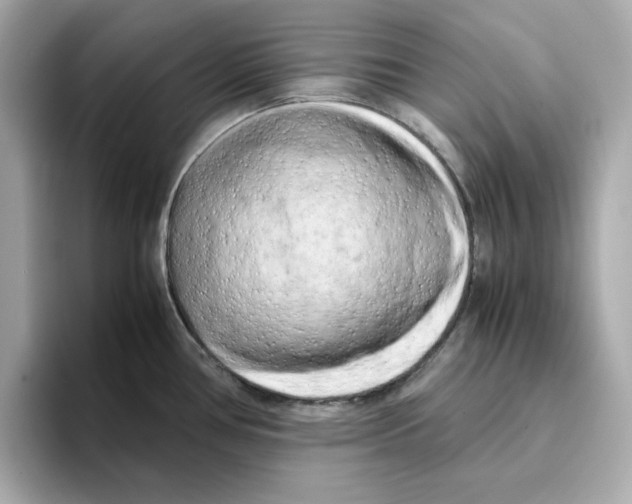 X0000095691386200802051303