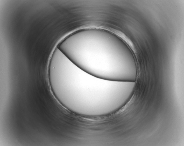 X0000095691388200802051303