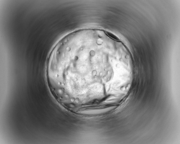 X0000095691390200802051303