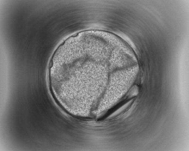 X0000095691391200802051303