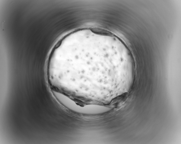 X0000095691392200802051303