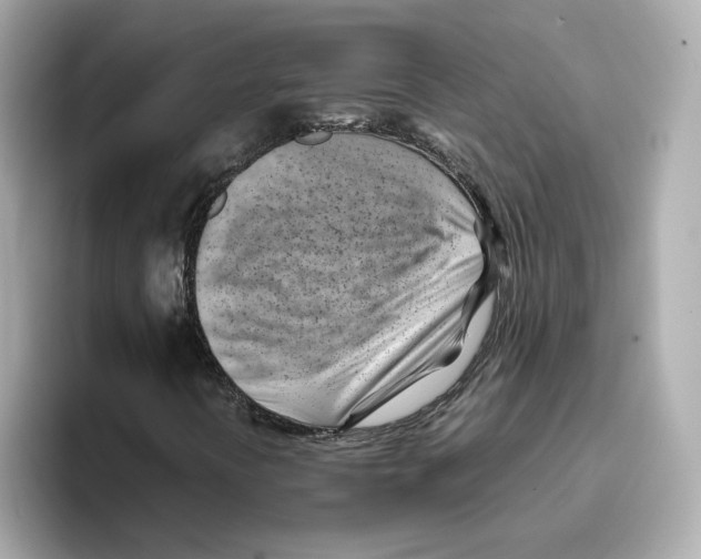 X0000095691394200802051303