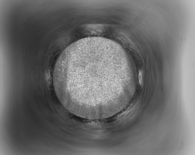 X0000095691395200802051303