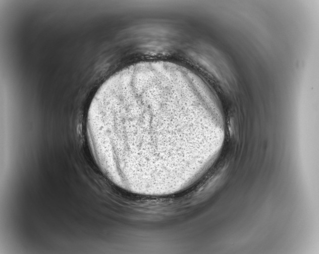 X0000095691396200802051303