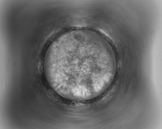 X0000095691398200802051303