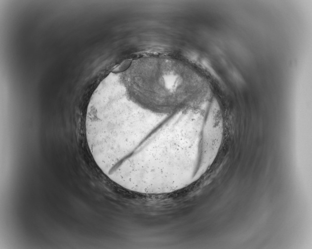 X0000095691399200802051303