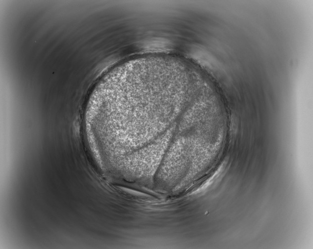 X0000095691401200802051303