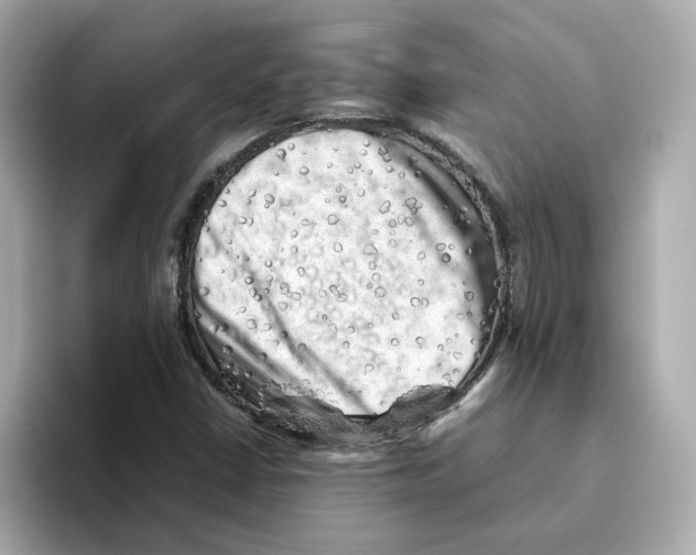 X0000095691402200802051303