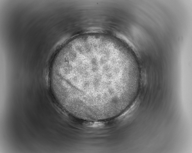 X0000095691403200802051303