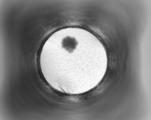 X0000095691404200802051303