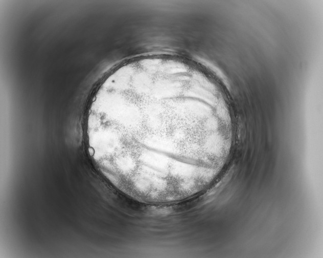 X0000095691407200802051303