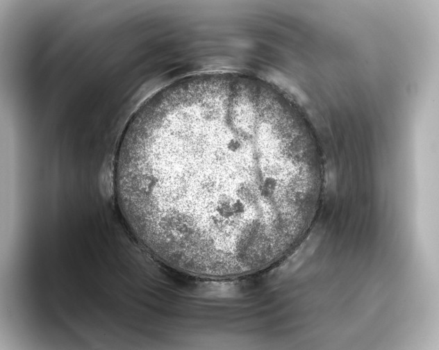 X0000095691409200802051303