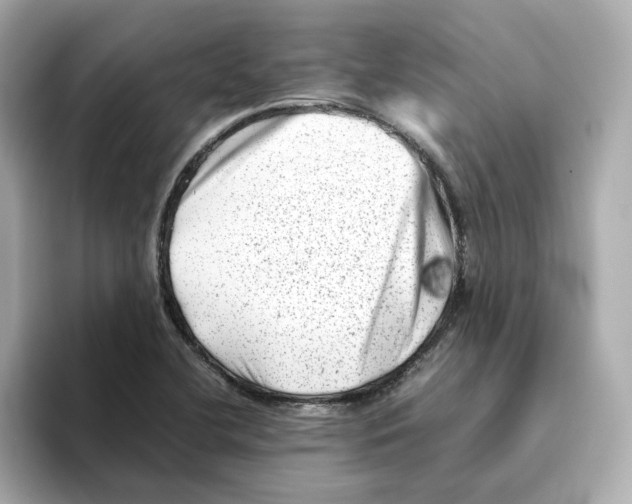 X0000095691412200802051303