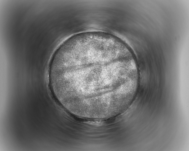 X0000095691415200802051303