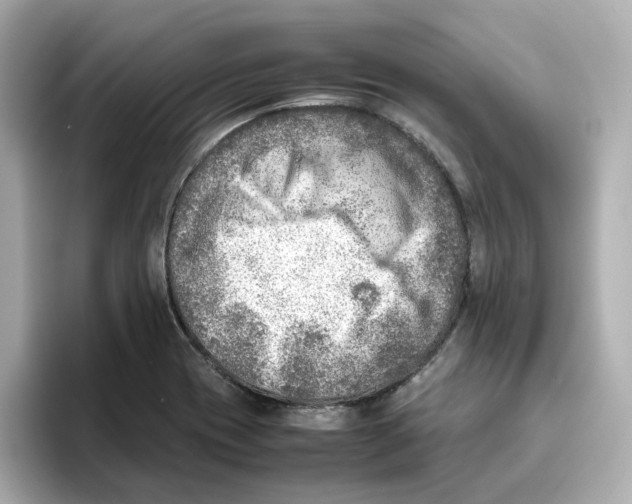 X0000095691417200802051303