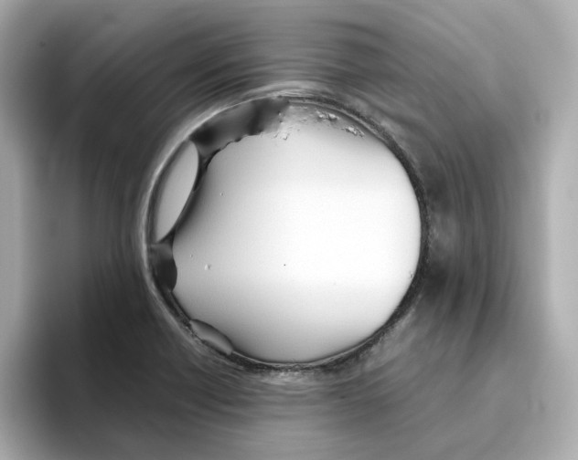 X0000095691418200802051303