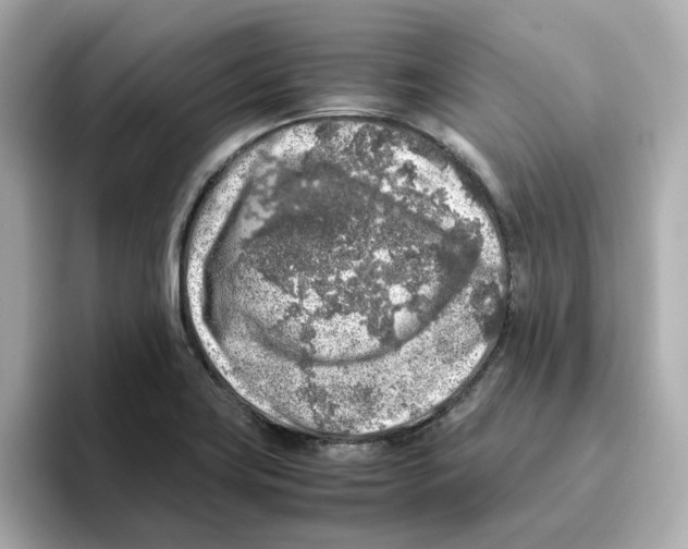 X0000095691419200802051303