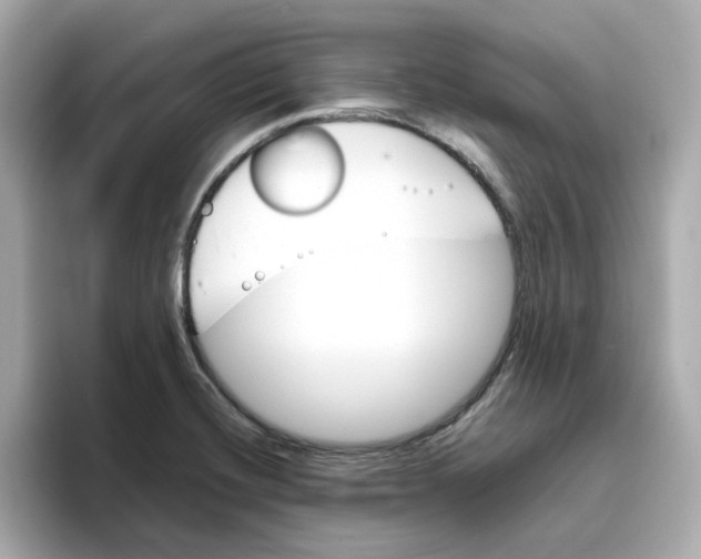 X0000095691420200802051303