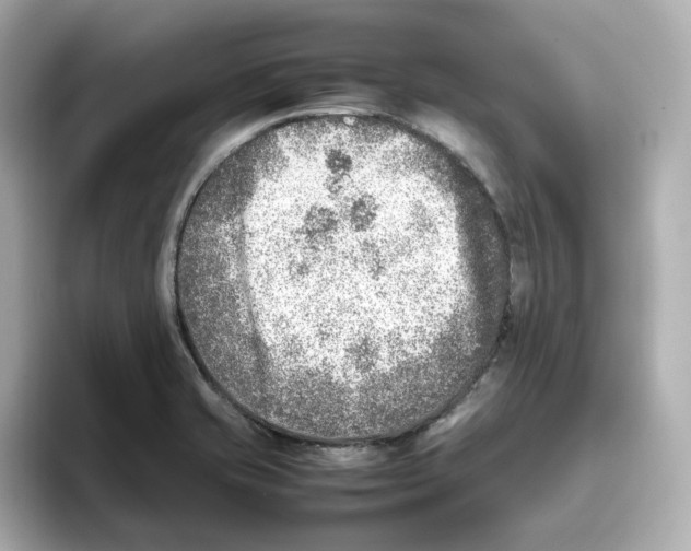 X0000095691421200802051303