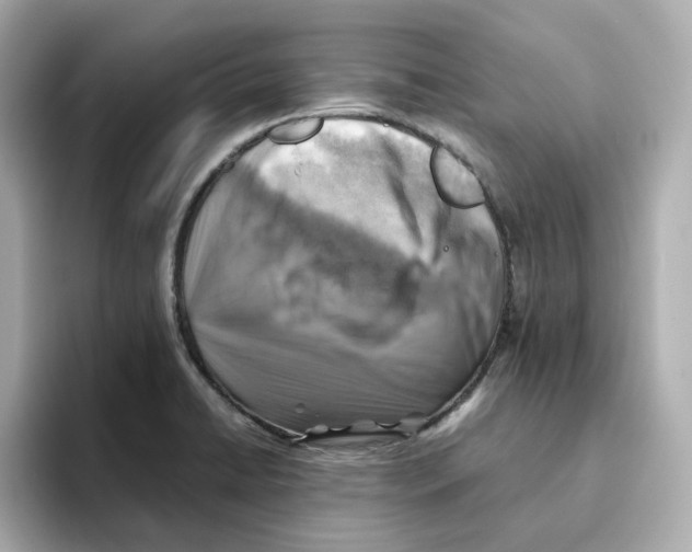 X0000095691422200802051303