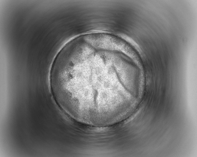 X0000095691423200802051303