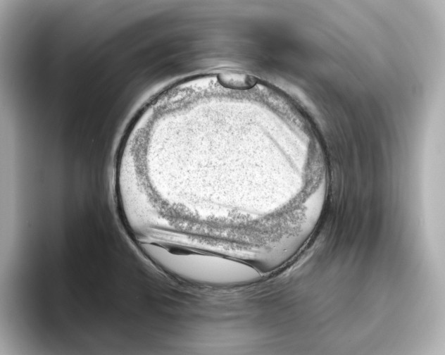 X0000095691424200802051303