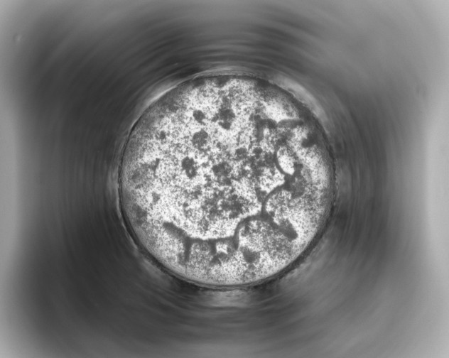 X0000095691425200802051303