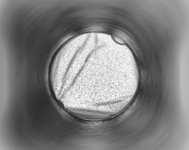 X0000095691426200802051303