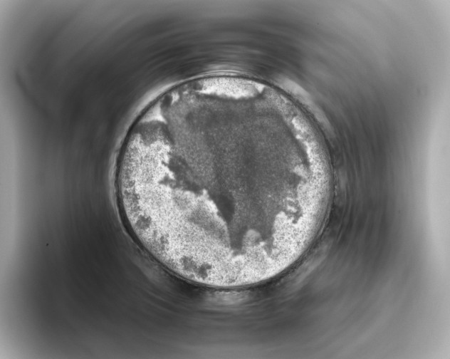 X0000095691427200802051303