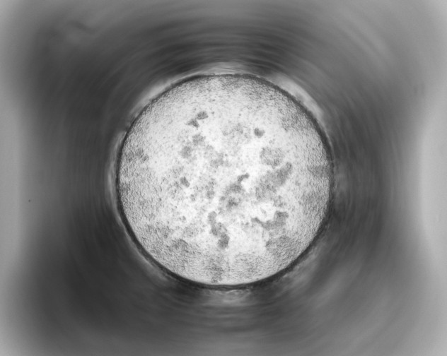 X0000095691429200802051303