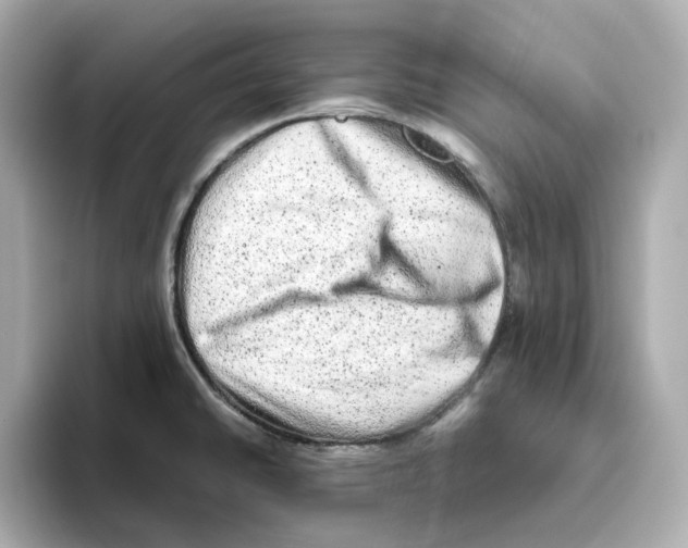 X0000095691430200802051303