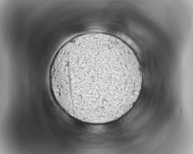 X0000095691431200802051303