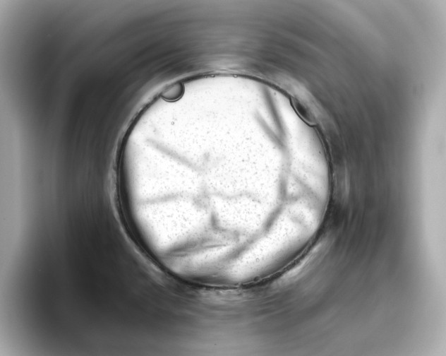 X0000095691432200802051303