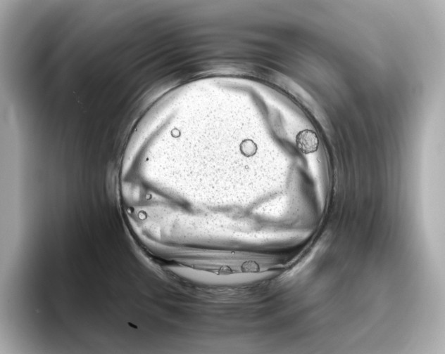 X0000095691433200802051303