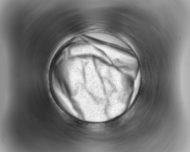 X0000095691434200802051303