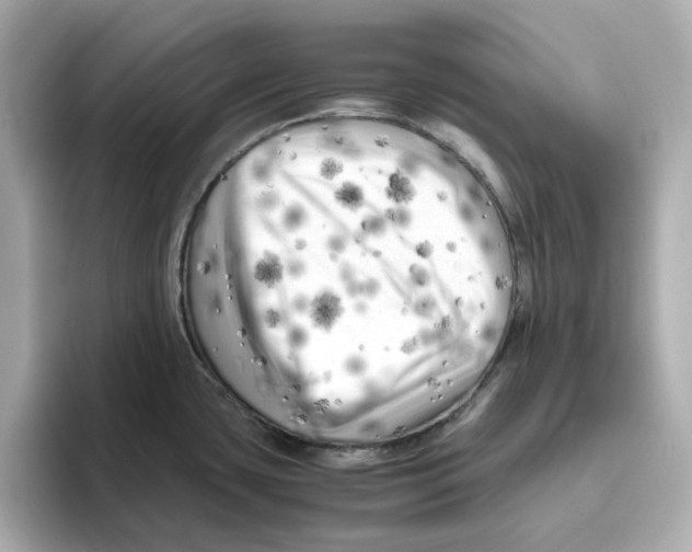 X0000095691435200802051303