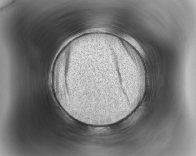 X0000095691436200802051303