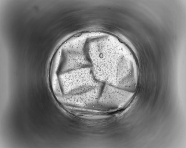 X0000095691437200802051303