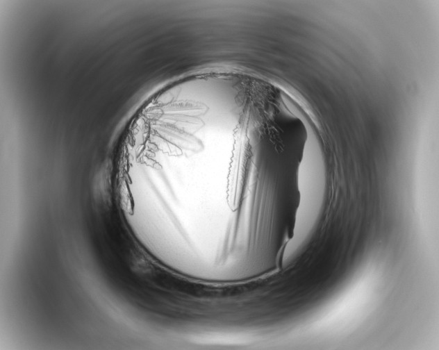 X0000095691438200802051303