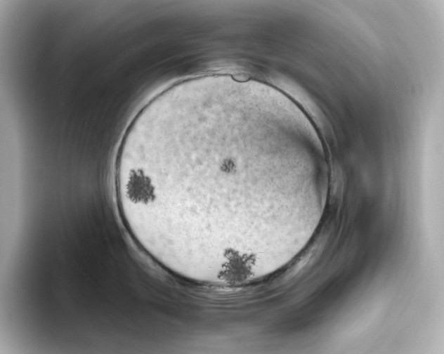 X0000095691439200802051303