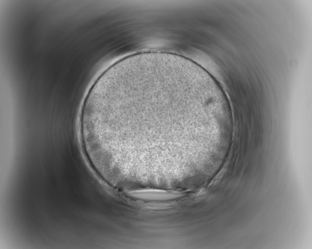 X0000095691440200802051303