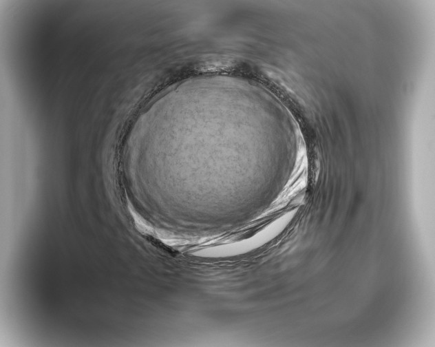 X0000095691441200802051303